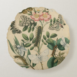 Cojín Redondo Etapas de la vida de mariposas por Vision Studio