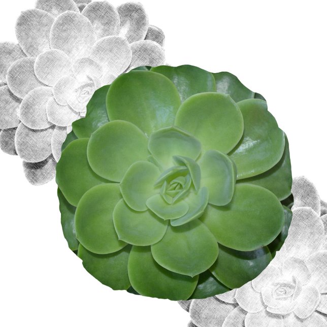 Cojín Redondo Éxito fotográfico verde botánico (Subido por el creador)