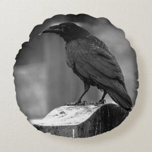 Cojín Redondo Falln Encontró Una Pluma