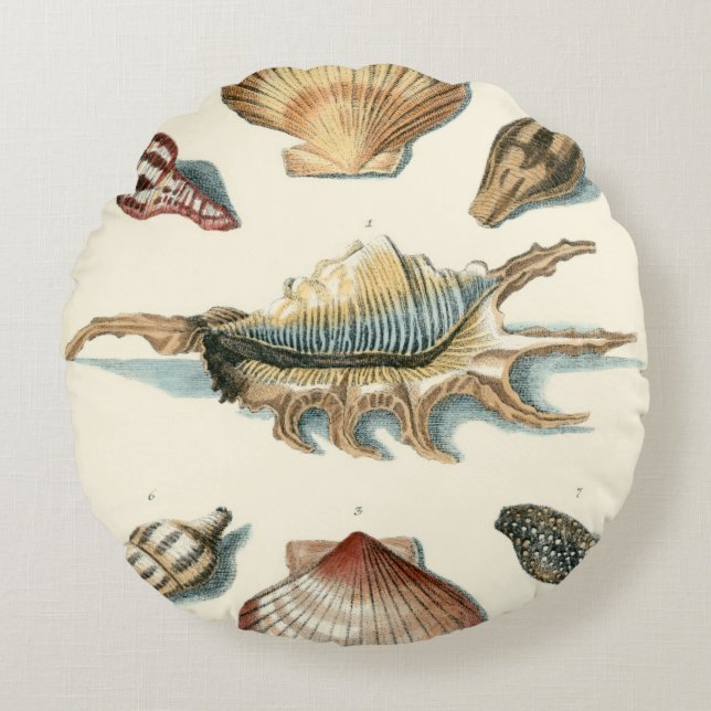 Cojín Redondo Fancy Shell Beach (Anverso)