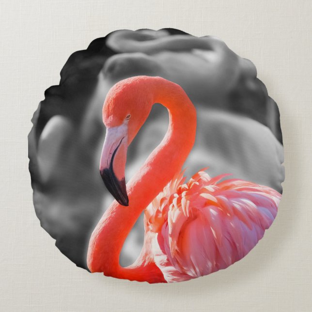 Cojín Redondo Flamingo Bird Photography (Anverso)