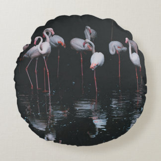 COJÍN REDONDO FLAMINGO EN EL FONDO OSCURO
