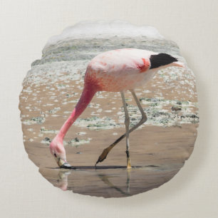 COJÍN REDONDO FLAMINGO ROSA EN EL CUERPO DEL AGUA