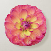 Flor de dahlia zinnia color rosa