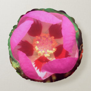 Cojín Redondo Flor silvestre de cinco manchas del desierto