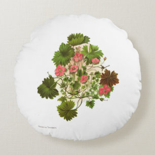 Cojín Redondo Flores de la ciencia NZ del vintage - traversii