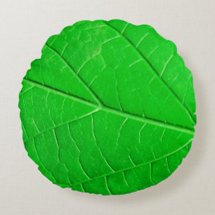Cojín Redondo Fondo de la planta de ecología de hoja verde macro