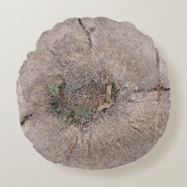 Cojín Redondo Foto de árbol de palmas cortadas botánicas