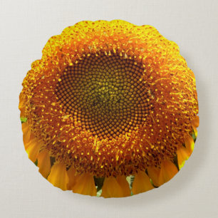 Cojín Redondo Foto de girasol gigante amarillo mamut