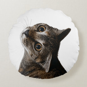 Cojín Redondo Foto de retrato de gato atigrado artístico