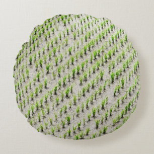 Cojín Redondo Fotografía aérea de cultivos de arroz durante el d