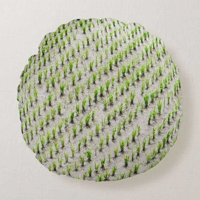 Cojín Redondo Fotografía aérea de cultivos de arroz durante el d (Anverso)