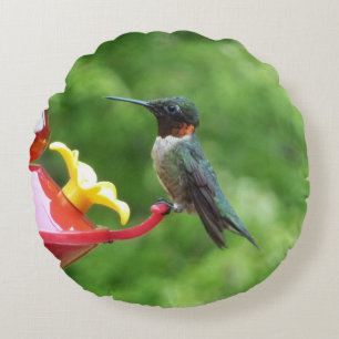 Cojín Redondo Fotografía de aves de colibrí de garganta rubí