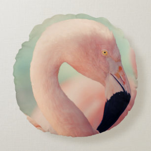 Cojín Redondo Fotografía de foco poco profundo del flamingo rosa