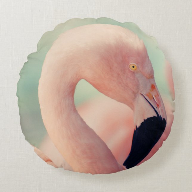Cojín Redondo Fotografía de foco poco profundo del flamingo rosa (Anverso)