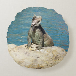 Cojín Redondo Fotografía de vida salvaje tropical de Iguana en S