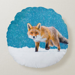 Cojín Redondo Fox en invierno. Fox roja, Vulpes vulpes, olfatead