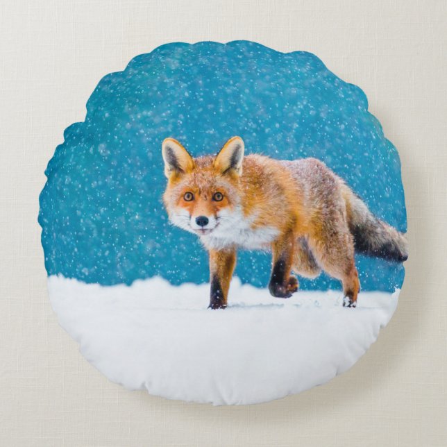 Cojín Redondo Fox en invierno. Fox roja, Vulpes vulpes, olfatead (Anverso)