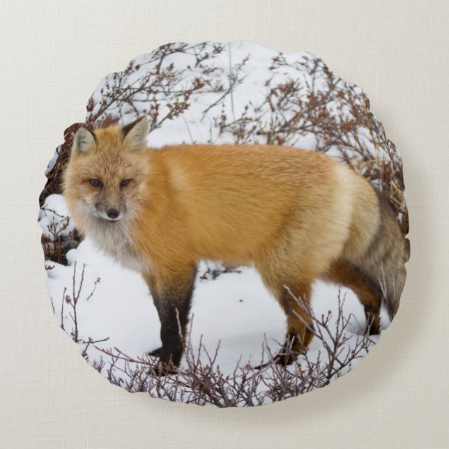 Cojín Redondo Fox roja en la nieve en invierno (Anverso)