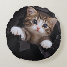 Gatito Adorable