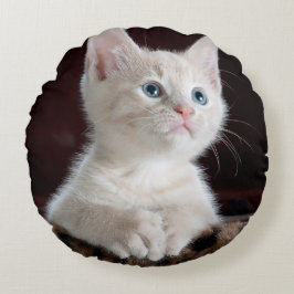Cojín Redondo Gatito blanco vulnerable
