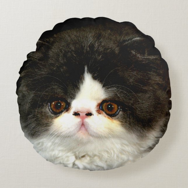Cojín Redondo Gatito blanco y negro (Anverso)