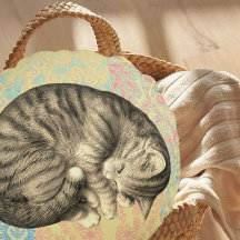 Gato acurrucado durmiendo en el quilt lindo acoged