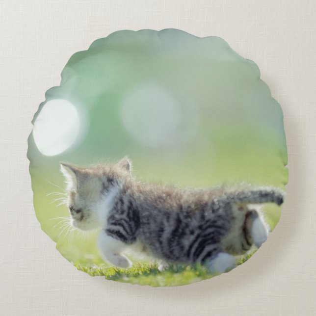 Cojín Redondo Gato bebé corriendo en el campo de hierba. (Anverso)