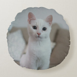 Cojín Redondo Gato blanco   Zazzle_Growshop.