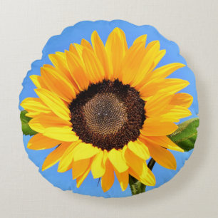 Cojín Redondo Girasol amarillo contra el sol en el cielo azul - 
