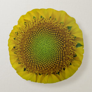 Cojín Redondo Girasol y semillas, espiral, relación dorada