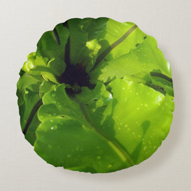 Cojín Redondo Grandes hojas de fern verde, (Anverso)