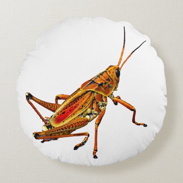Cojín Redondo Grasshopper (Anverso)