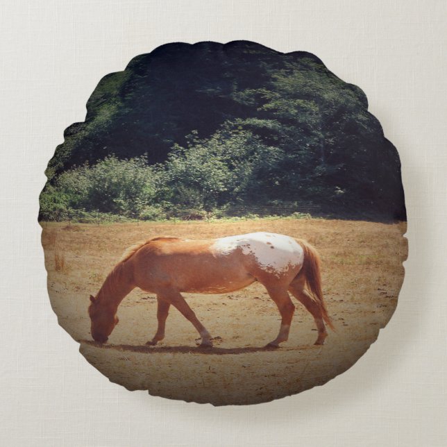 Cojín Redondo Grazing Palomino.... (Anverso)