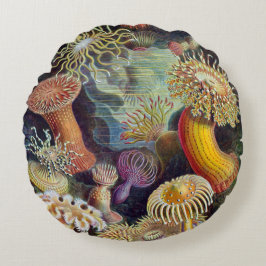 Cojín Redondo Haeckel ~ Cushions de anémonas marinas