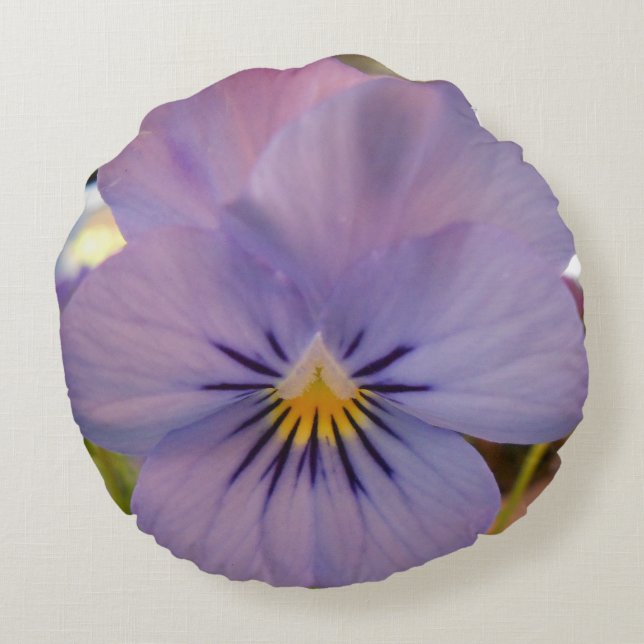 Cojín Redondo Haetzlern (Reverso)