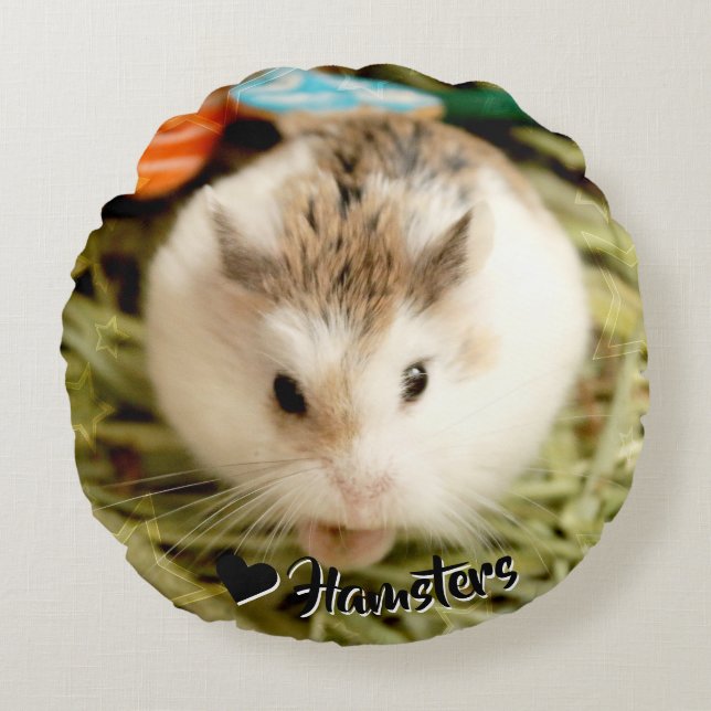 Cojín Redondo Hammyville - Cute Hamster (Anverso)