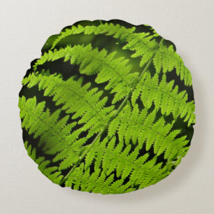 Cojín Redondo helecho verde