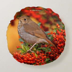 Cojín Redondo Hermit Thrush Songbird en Scarlet Firethorn