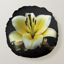 Hermosa Elegante Amarillo sobre Flor Negra
