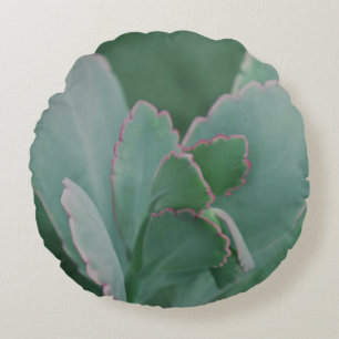 Cojín Redondo Hermosa Planta Desierta Fotografía de Arte