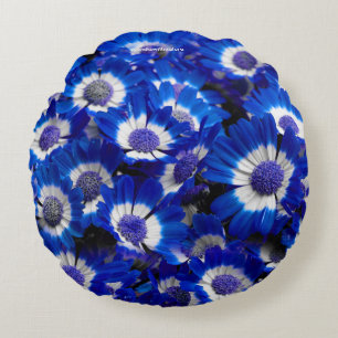 Cojín Redondo Hermosas flores reales de la Cineraria azul