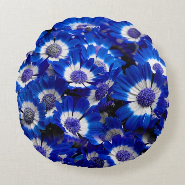 Cojín Redondo Hermosas flores reales de la Cineraria azul (Anverso)