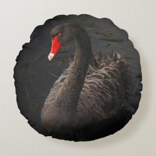 Cojín Redondo Hermoso cisne negro con un brillante pico rojo