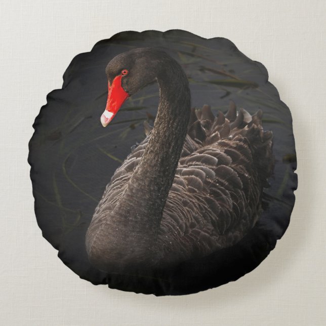 Cojín Redondo Hermoso cisne negro con un brillante pico rojo (Anverso)