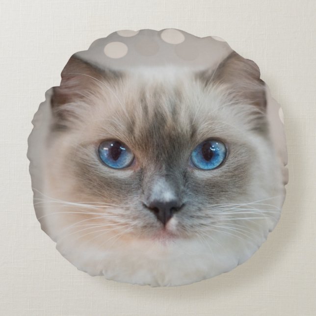 Cojín Redondo Hermoso gato Ragdoll sobre beige (Anverso)