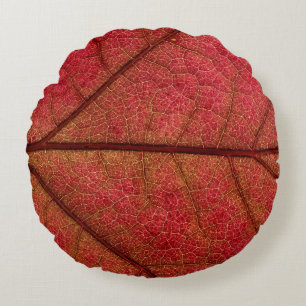 Cojín Redondo Hoja roja en fotografía de primer plano