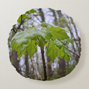 Cojín Redondo Hojas del bosque después de la lluvia – Naturaleza