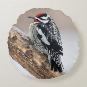 Cojín Redondo Hombre de Sapsucker, de barriga amarilla