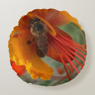 Cojín Redondo Honey Bee 🐝